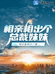 钢系精灵训练家