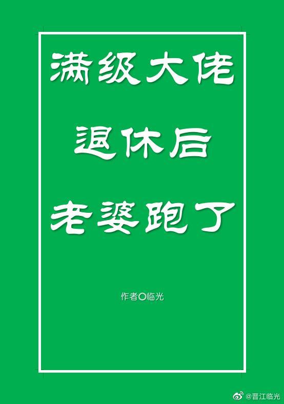 满级大佬退休后老婆跑了