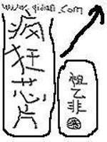 疯狂芯片