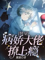 快穿：病娇大佬撩上瘾