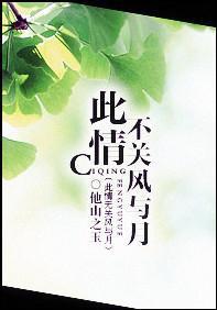 此情不关风与月
