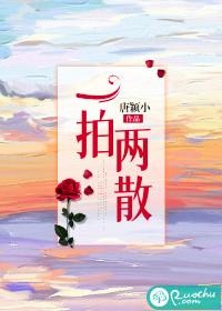 陈念徐宴清小说结局