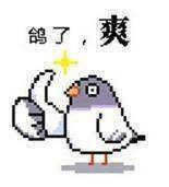 山神和我结婚是为了搞开发