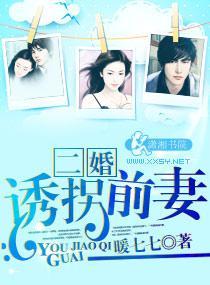 二婚--诱拐前妻