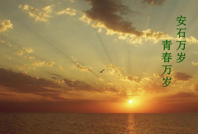 安石万岁，青春万岁