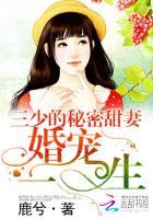 三少的秘密甜妻︰婚宠一生