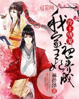 冷王嗜宠︰我家王妃初养成