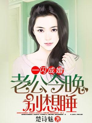 一闪成婚：老公今晚别想睡