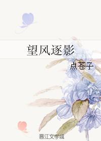 望风逐影