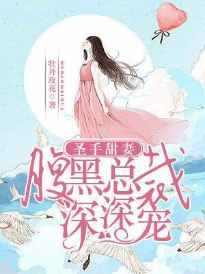 圣手甜妻：腹黑总裁深深宠
