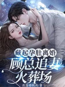 藏起孕肚离婚，顾总追妻火葬场