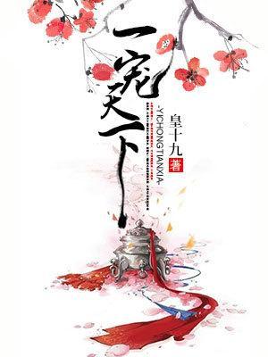 一宠天下