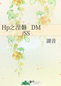 Hp之涅盘 DMSS
