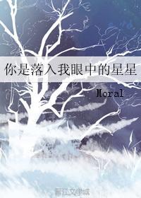 你是落入我眼中的星星