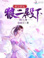 抓狂妖妃:狼二殿下缠上身