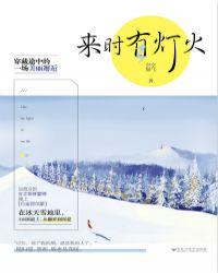 来时有灯火