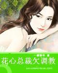 花心总裁欠调教