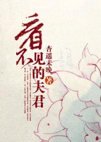 看不见的夫君
