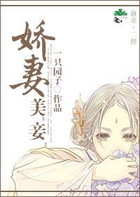 娇妻美“妾”