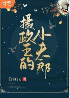 摄政王的小夫郎