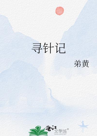 寻针记