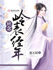 应念岭表经年