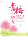 青梅小娇妻