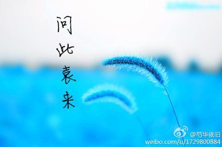 问此袁来