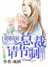 暖婚攻略,总裁请节制