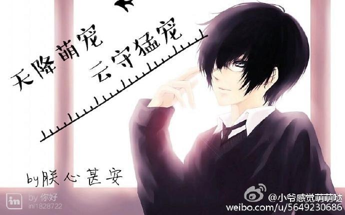 天降萌宠，云守猛宠