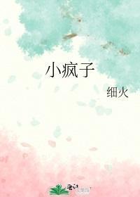 小疯子