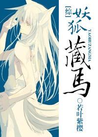 [综]妖狐藏马