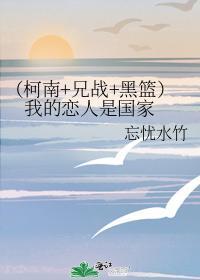 (柯南+兄战+黑篮)我的恋人是国家