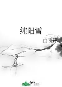 纯阳雪