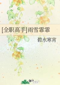 [全职高手]雨雪霏霏