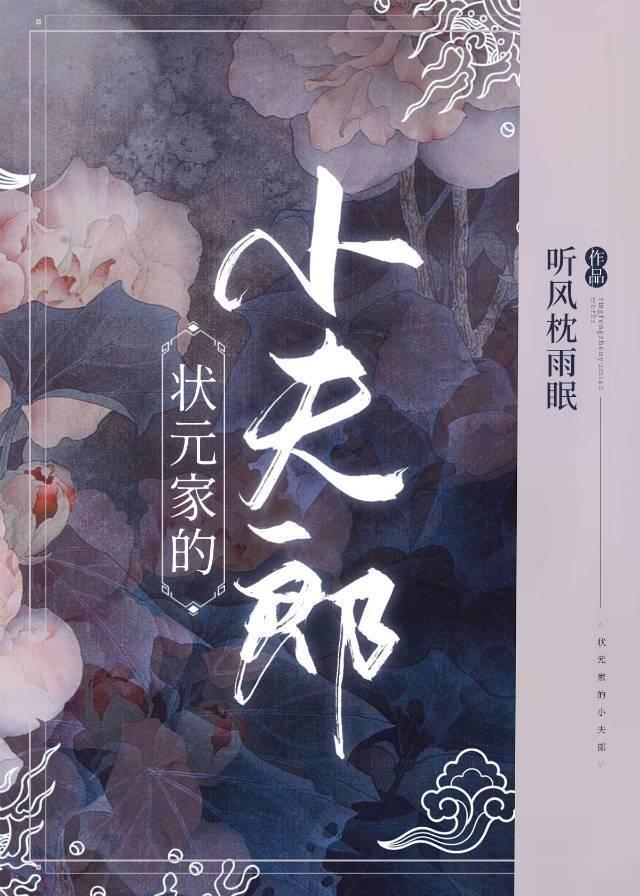 状元家的小夫郎