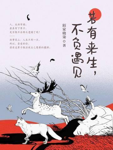 若有来生，不负遇见