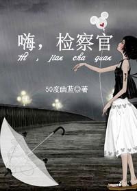 嗨，检察官