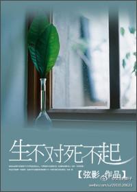 生不对，死不起