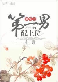 重生之第一男配上位