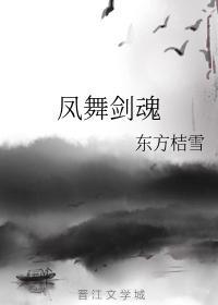 凤舞剑魂