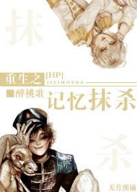 HP重生之记忆抹杀