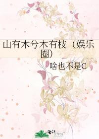 山有木兮木有枝（娱乐圈）