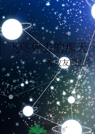 飞鸟死去的那天