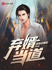 赘婿叶辰王佳珧
