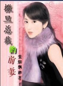 撒旦总裁的前妻