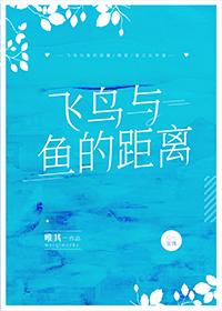 飞鸟与鱼的距离