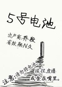 5号电池