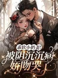 乖软小奶妻!被阴沈沈病娇吻哭了