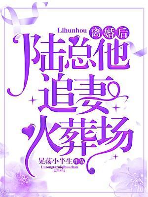 离婚后，陆总他追妻火葬场